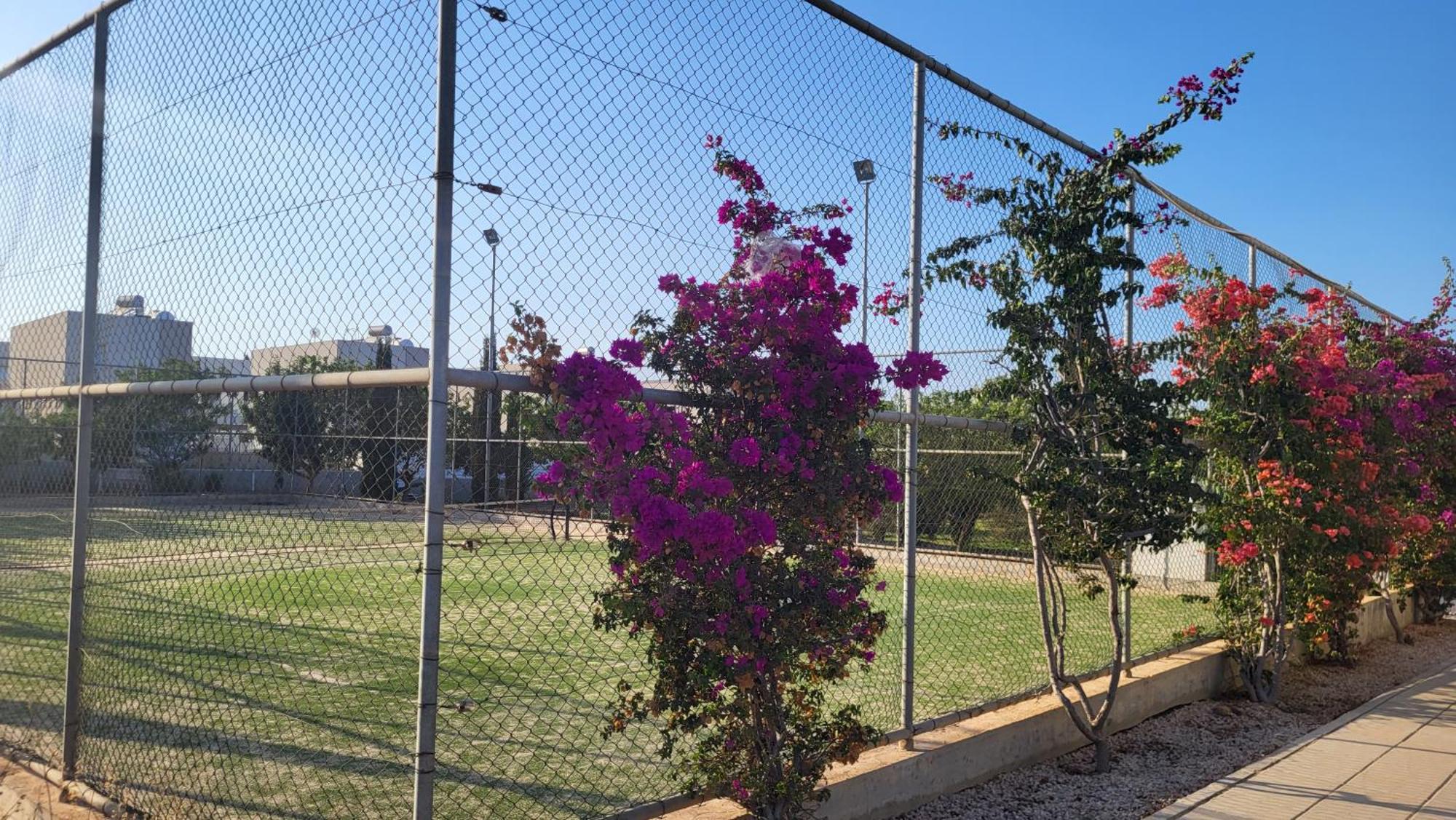 Mythical Sands Resort - Hana Paralimni Bilik gambar